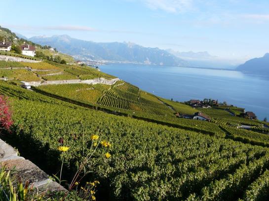 Hotel Beau Rivage Palace  | Lausanne | Vaud / Waadt | Schweiz 12