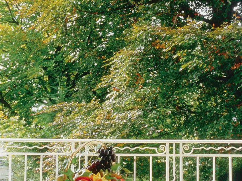 Hotel Victoria  | Lausanne | Vaud / Waadt | Schweiz 2