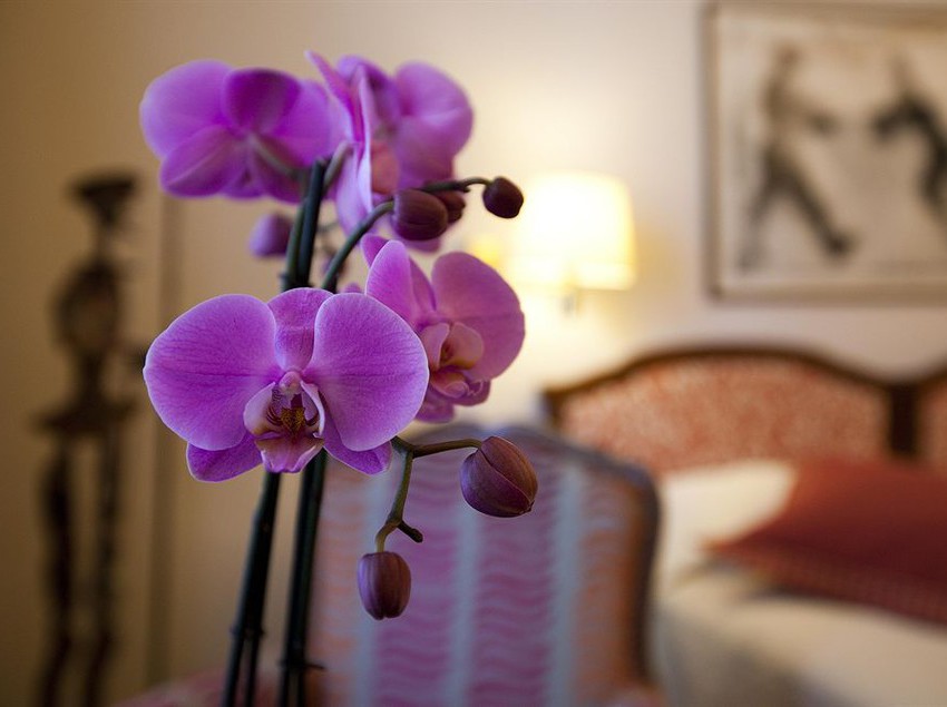 Hotel Victoria  | Lausanne | Vaud / Waadt | Schweiz 20