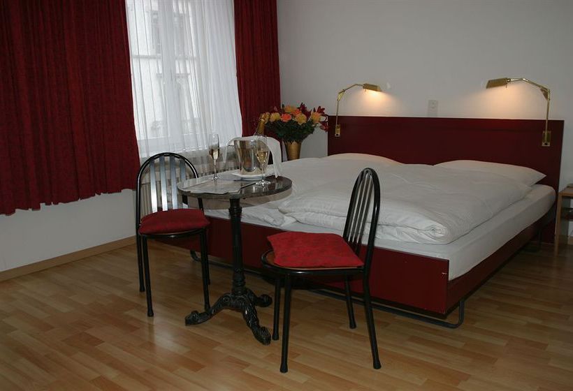 Hotel Alpina Luzern  | Lucerna | Lucerna | Suiza 14