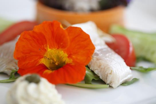 Wilerbad Seehotel Wilen