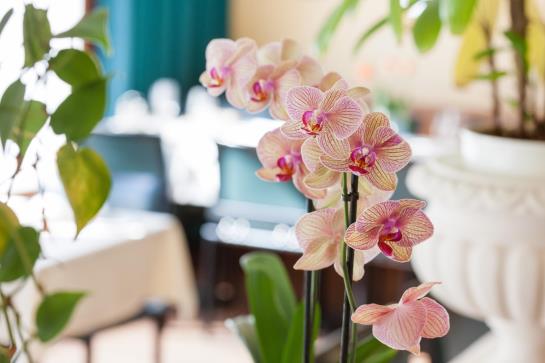 Hotel Römertor  | Winterthur | Zurich | Switzerland 6