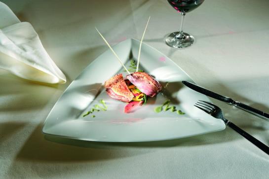 Grand Hotel des Bains  | Yverdon les Bains | Vaud / Waadt | Suiza 11