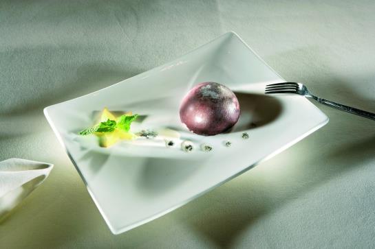 Grand Hotel des Bains  | Yverdon les Bains | Vaud / Waadt | Suiza 20