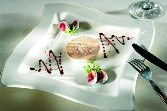 Grand Hotel des Bains  | Yverdon les Bains | Vaud / Waadt | Suiza 5