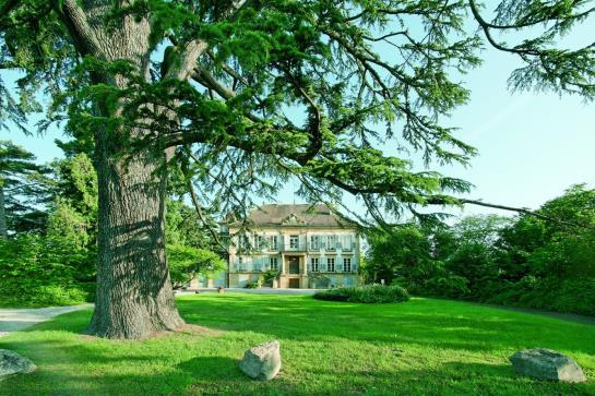 Grand Hotel des Bains  | Yverdon les Bains | Vaud / Waadt | Suiza 9