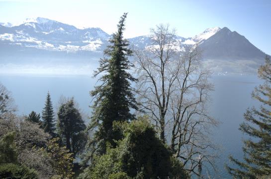 Paradieshotel Rotschuo  | Gersau | Schwyz | Switzerland 3