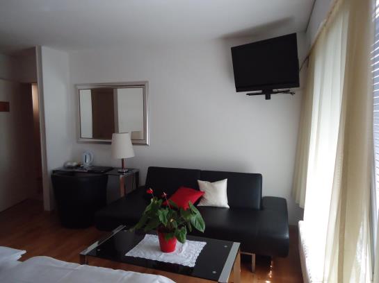 Hotel Les Alpes  | Bulle | Freiburg / Fribourg | Svizzera 2