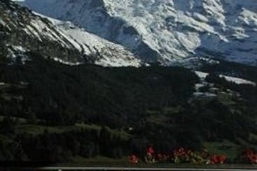 Hotel Bellevue Wengen  | Wengen | Bern | Schweiz 10