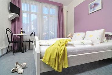 Hotel Lotschberg  | Interlaken | Bern | Schweiz 8