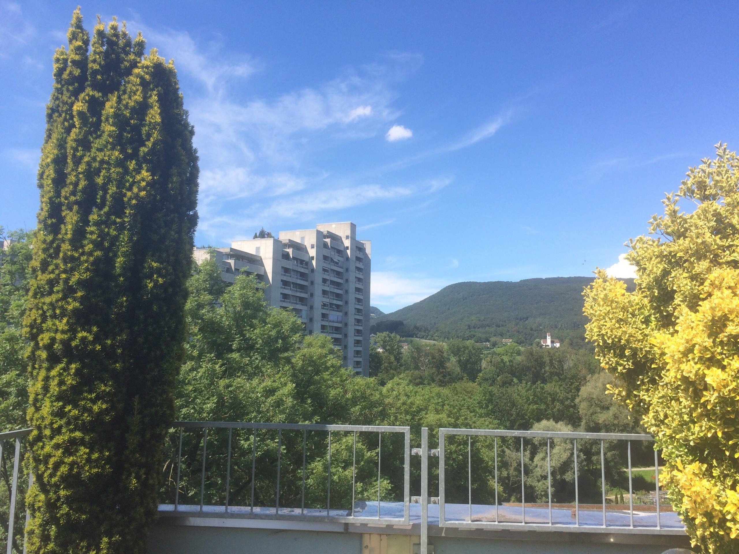 Hotel Rebe  | Aarau | Aargau | Schweiz 1