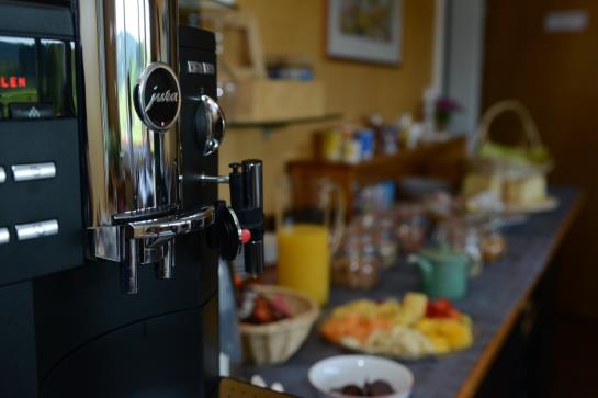 Hôtel Pension Alpenrosli  | Gais | Appenzell Ausser-Rhoden | Suisse 2