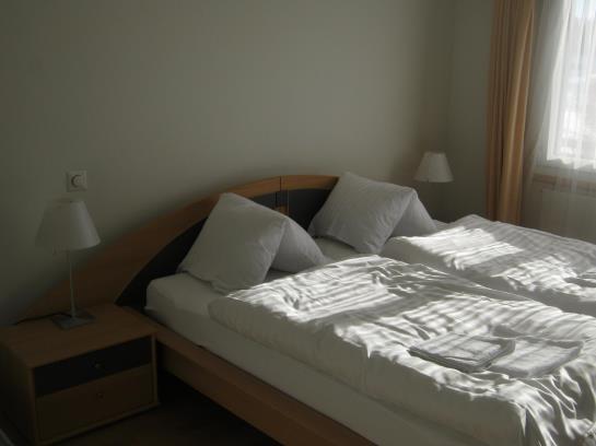 Hôtel Pension Alpenrosli  | Gais | Appenzell Ausser-Rhoden | Suisse 7