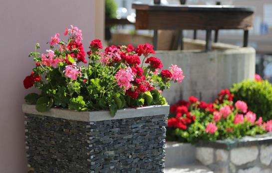 Hotel Uzwil  | St Gallen | Sankt Gallen | Schweiz 16