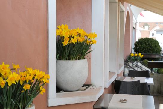 Hotel Uzwil  | St Gallen | Sankt Gallen | Schweiz 17