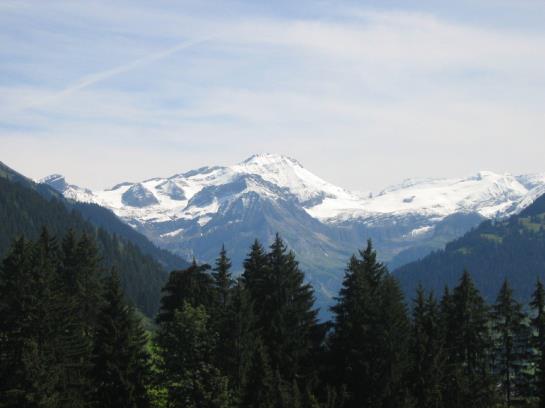 Hotel Hostellerie Alpenrose  | Schonried | Bern | Schweiz 4