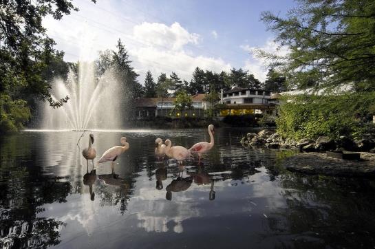 Hotel Florida  | Studen | Bern | Switzerland 1