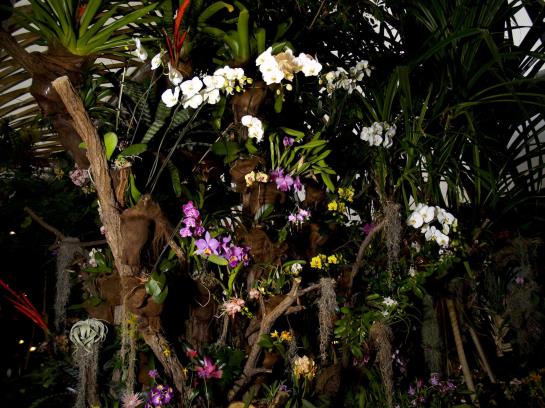 Hotel Florida  | Studen | Bern | Switzerland 11