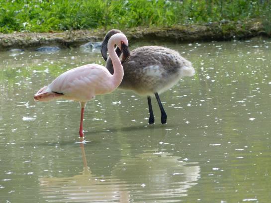 Hotel Florida  | Studen | Bern | Switzerland 13