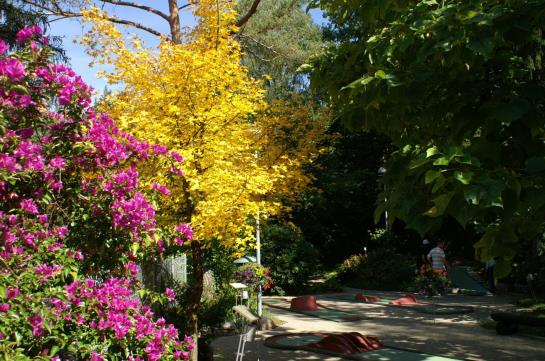 Hotel Florida  | Studen | Bern | Switzerland 8