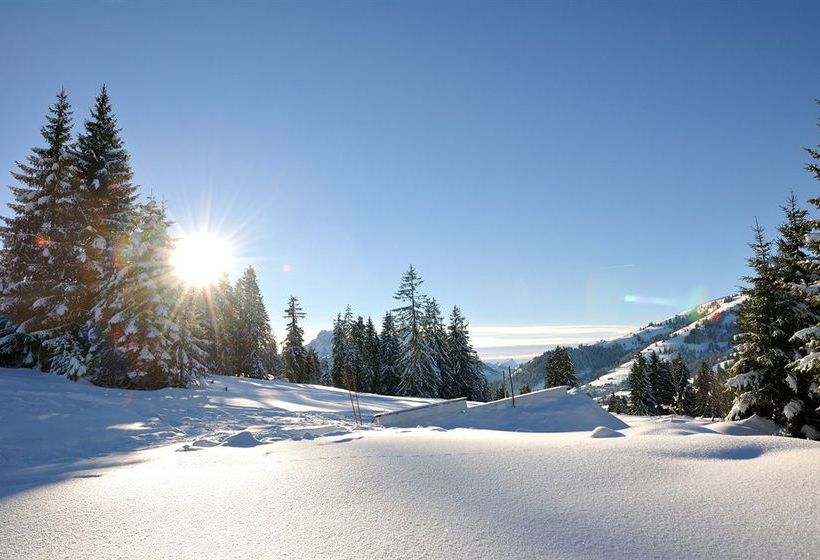 Z Loft Hotel  | Saanenmöser | Bern | Schweiz 6