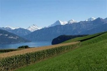 Hotel Bellevue  | Spiez | Bern | Schweiz 6