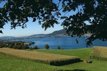 Hotel Bellevue  | Spiez | Bern | Schweiz 7