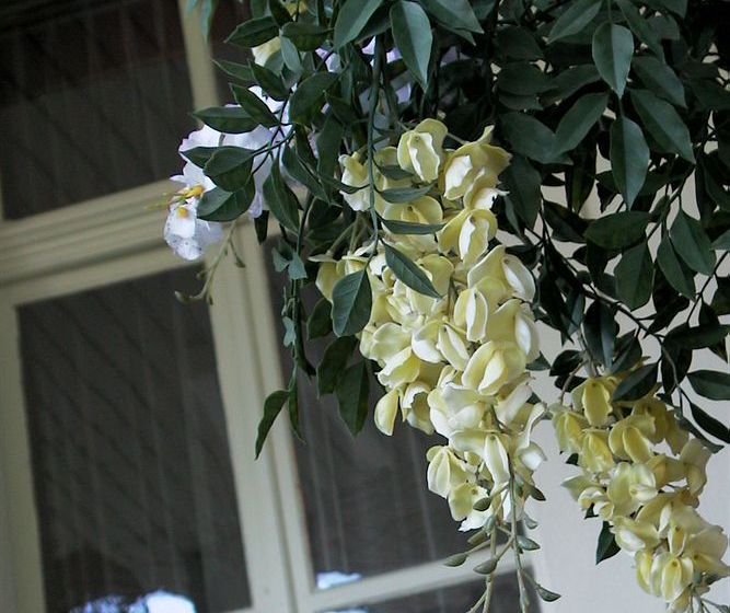 Residence Brunner  | Wengen | Bern | Schweiz 18