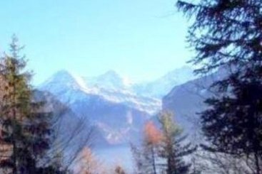 Budget Waldhotel Unspunnen  | Interlaken | Bern | Schweiz 5