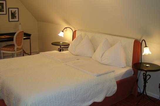 Hotel Schwan Und Taverne  | Horgen | Zurich | Schweiz 10