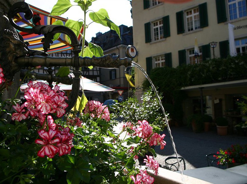 Hotel Schwan Und Taverne  | Horgen | Zurich | Schweiz 4