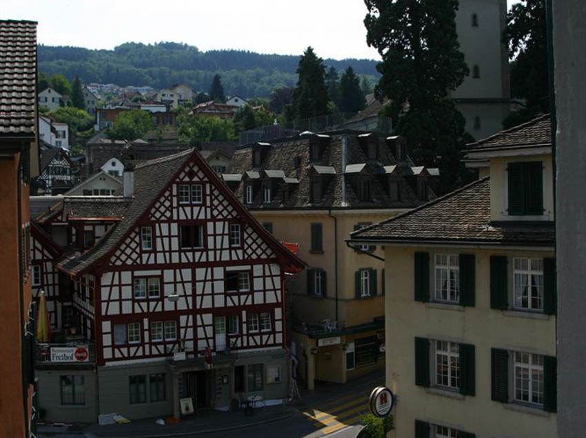 Hotel Schwan Und Taverne  | Horgen | Zurich | Schweiz 5