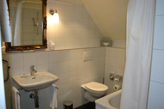 Hotel Schwan Und Taverne  | Horgen | Zurich | Schweiz 9