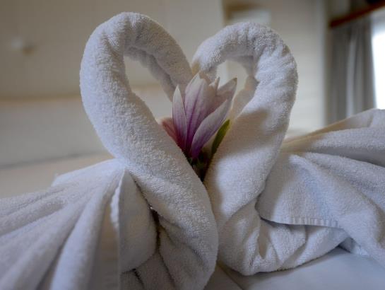 Hotel Gottardo Garni Locarno  | Muralto | Ticino / Tessin | Switzerland 6