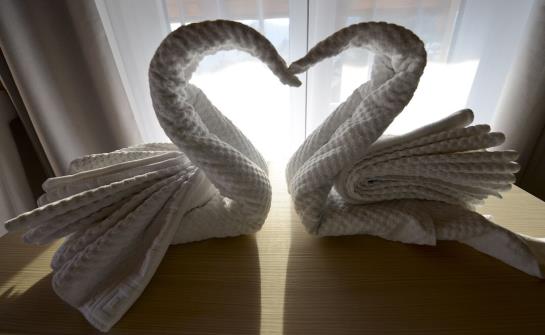 Hotel Gottardo Garni Locarno  | Muralto | Ticino / Tessin | Switzerland 9