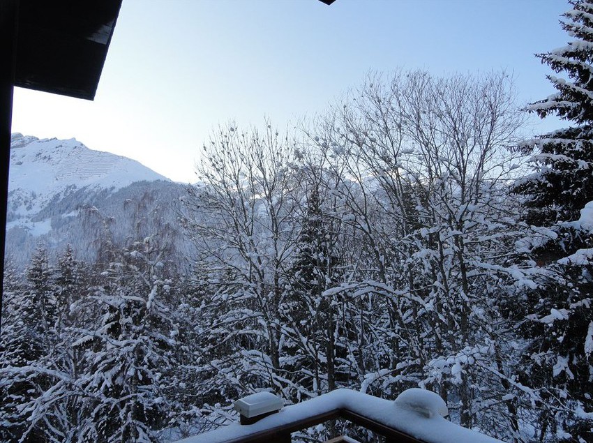 Hotel Alpenruhe Kulm  | Wengen | Bern | Schweiz 1