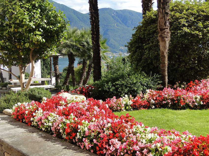 Casa Sant Agnese  | Muralto | Tessin | Schweiz 3