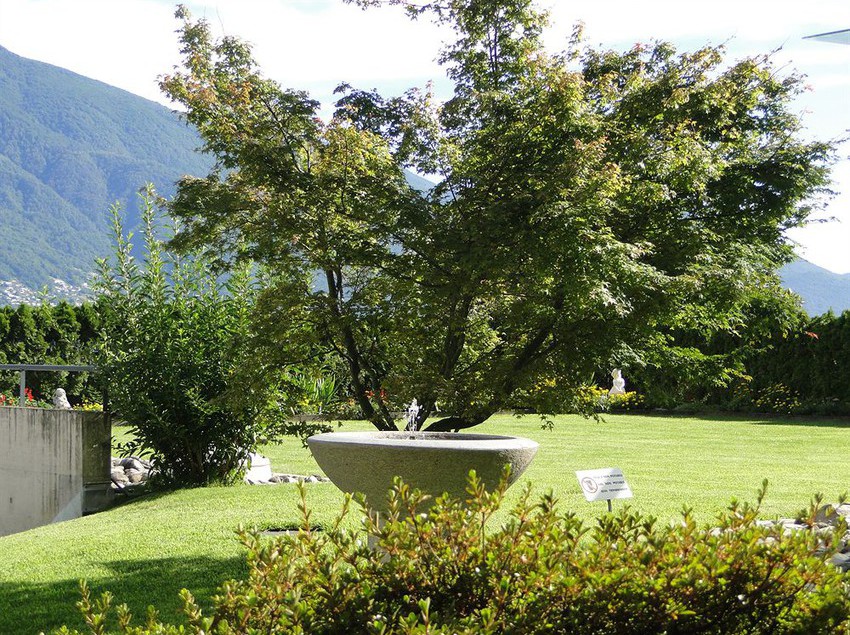 Casa Sant Agnese  | Muralto | Tessin | Schweiz 4