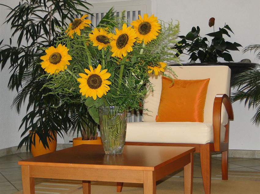 Casa Sant Agnese  | Muralto | Tessin | Schweiz 9