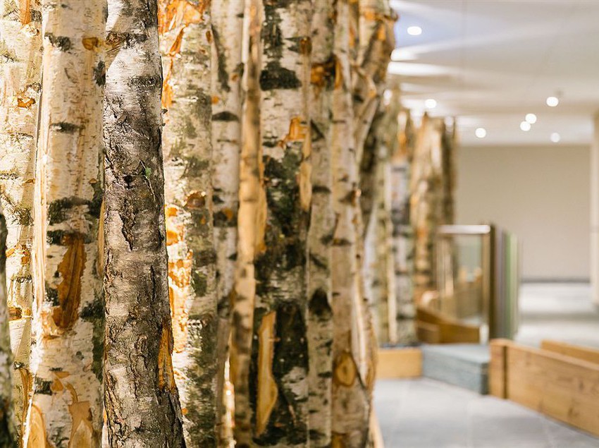 Hotel Nendaz 4 Vallees  | Nendaz | Wallis | Schweiz 14