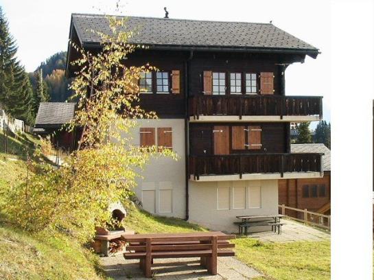 Hotel Aletschji Parterre  | Riederalp | Wallis | Schweiz 4