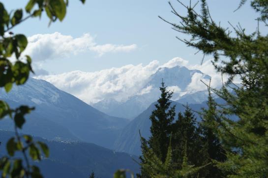 Hotel Walliser Spycher  | Riederalp | Wallis | Schweiz 7