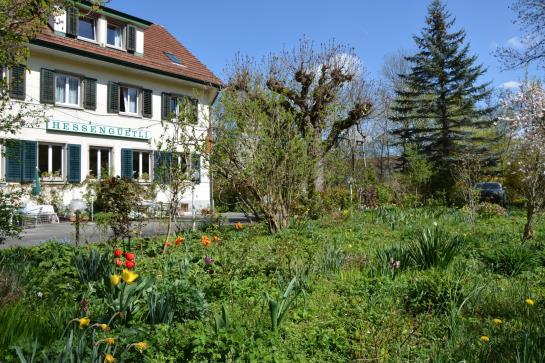 Hotel Hessengüetli  | Winterthur | Zurich | Suíça 3