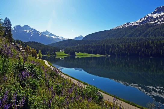 Hotel Waldhaus Am See  | St. Moritz | Graubünden | Schweiz 11