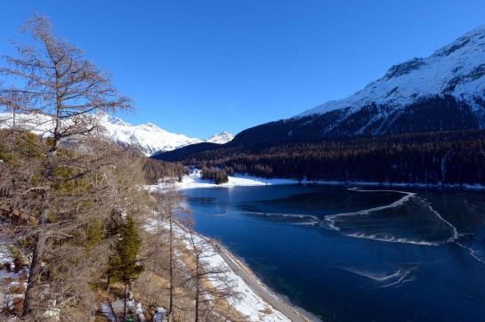 Hotel Waldhaus Am See  | St. Moritz | Graubünden | Schweiz 15