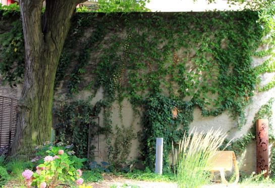 Hotel Birsighof  | Basel | Basel Stadt | Schweiz 11