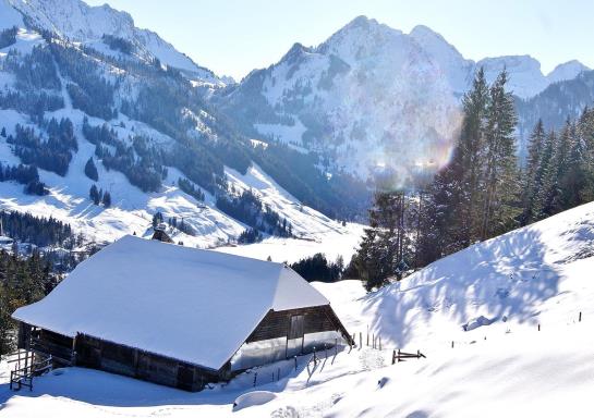 Hostellerie Am Schwarzsee  | Schwarzsee | Freiburg | Schweiz 12
