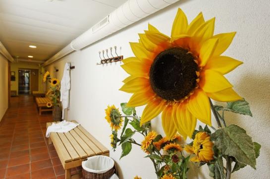 Hostellerie Am Schwarzsee  | Schwarzsee | Freiburg | Schweiz 17