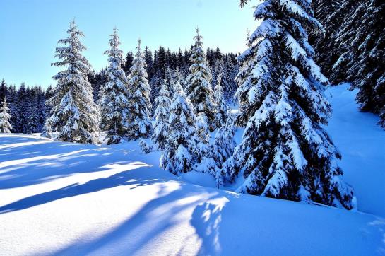 Hostellerie Am Schwarzsee  | Schwarzsee | Freiburg | Schweiz 7