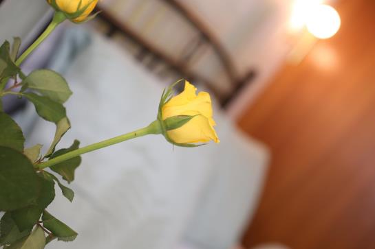 Hotel Garni Torkelbündte  | Bad Ragaz | Sankt Gallen | Schweiz 1